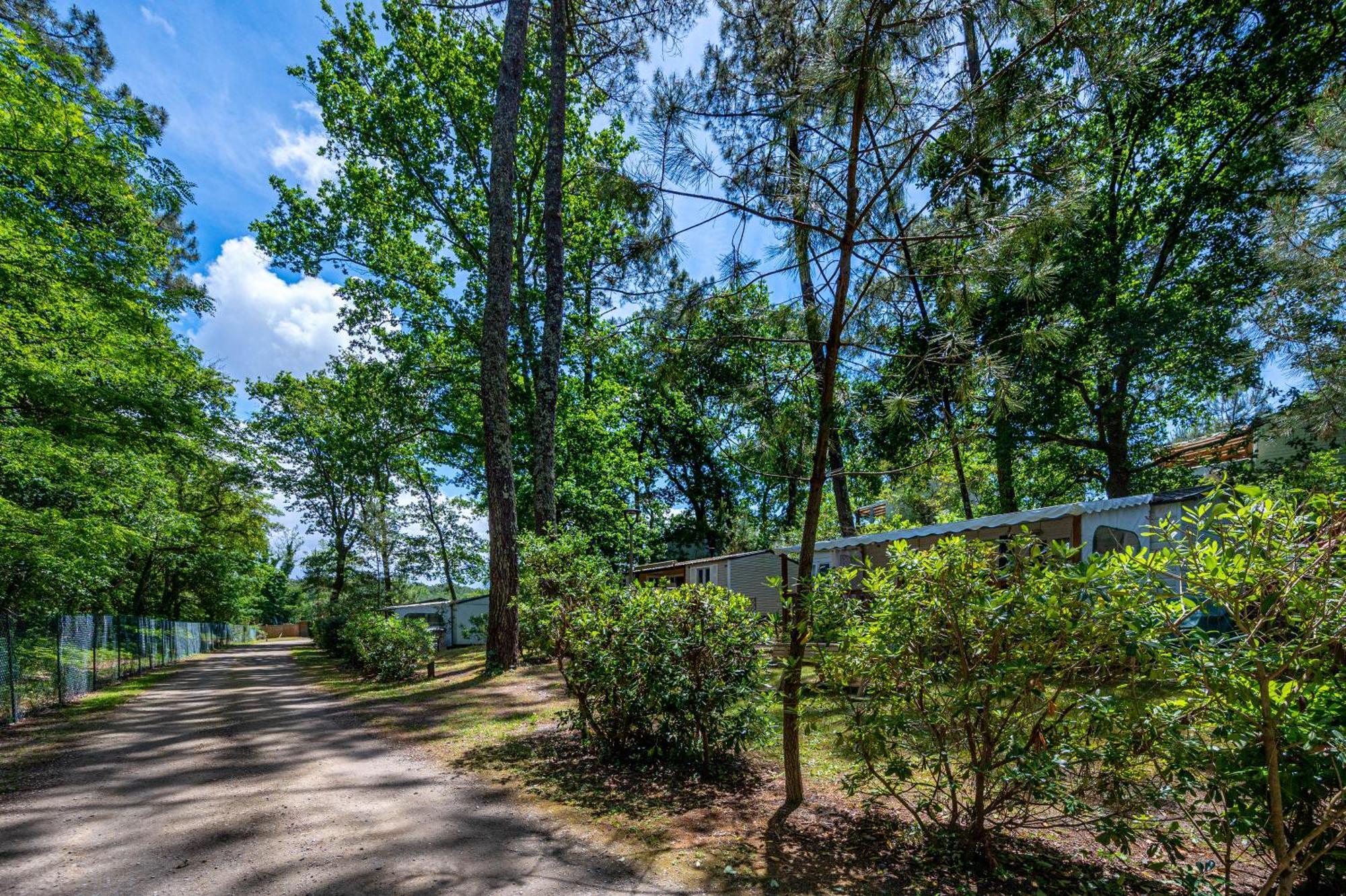 Camping-Village Vacances Les Deux Etangs Seignosse Exterior photo